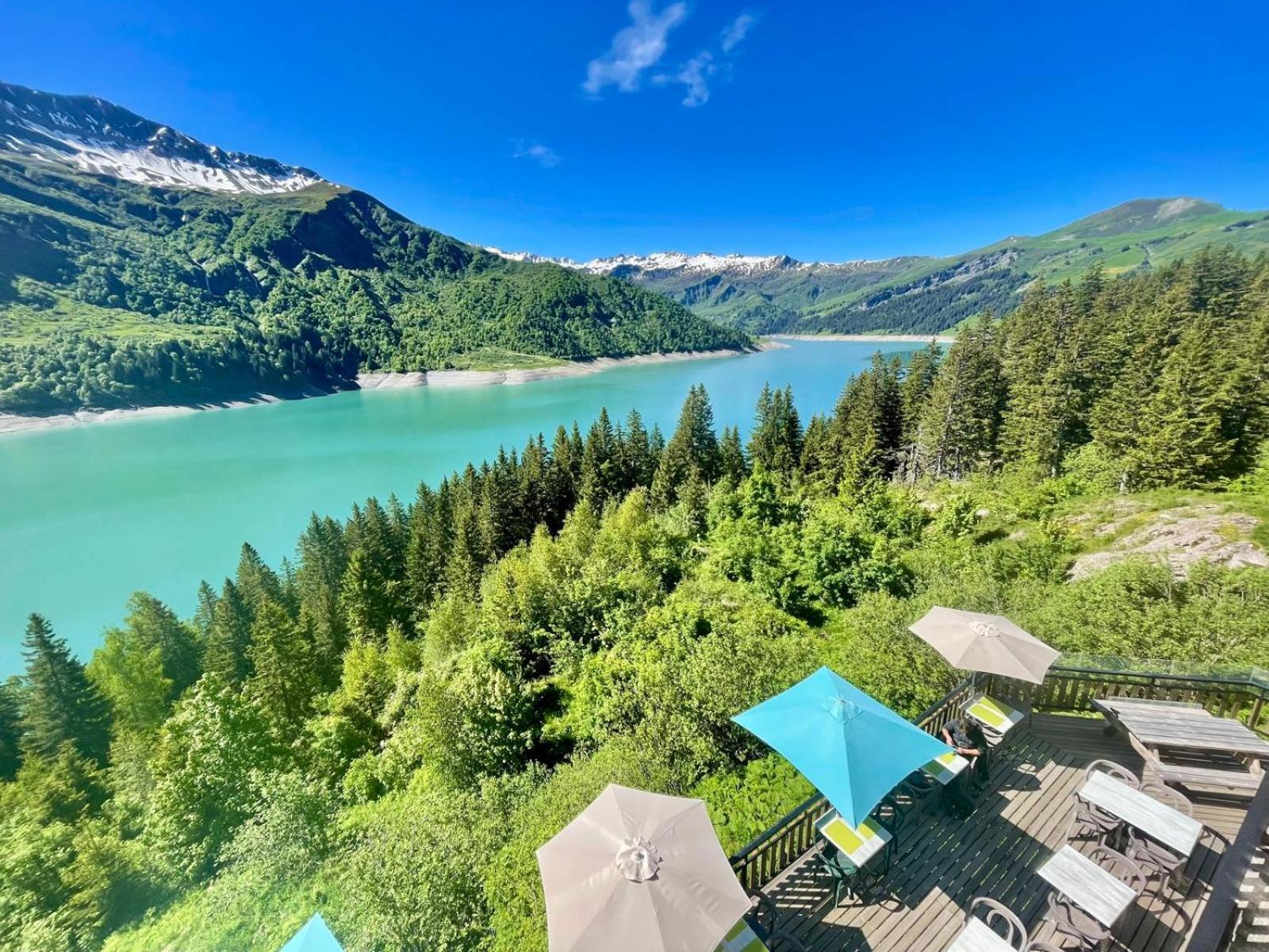 Chalet De Roselend Бофор Экстерьер фото